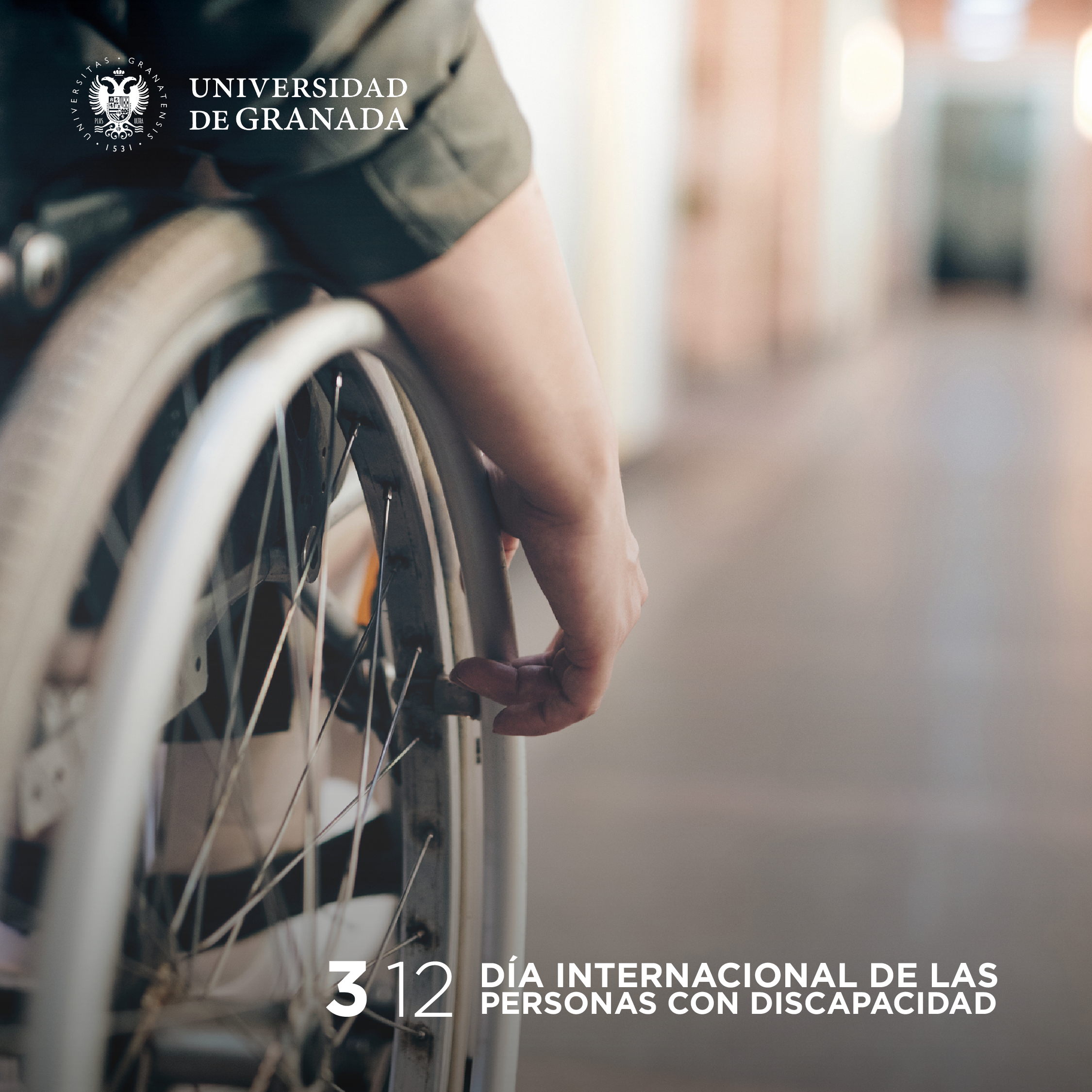 Día Internacional de las Personas con Discapacidad 2023