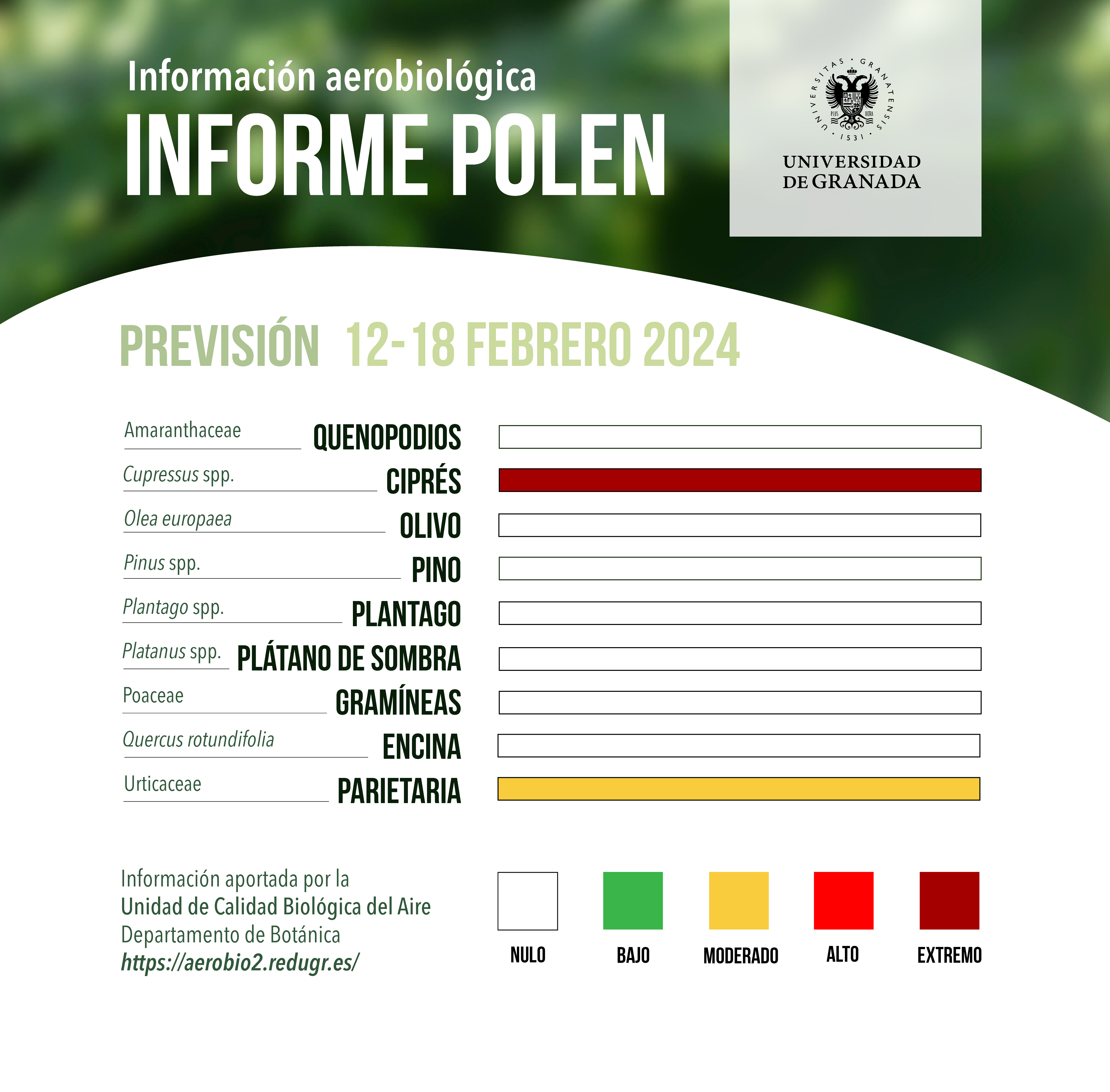 Informe Polen 12 a 18 de Febrero de 2024
