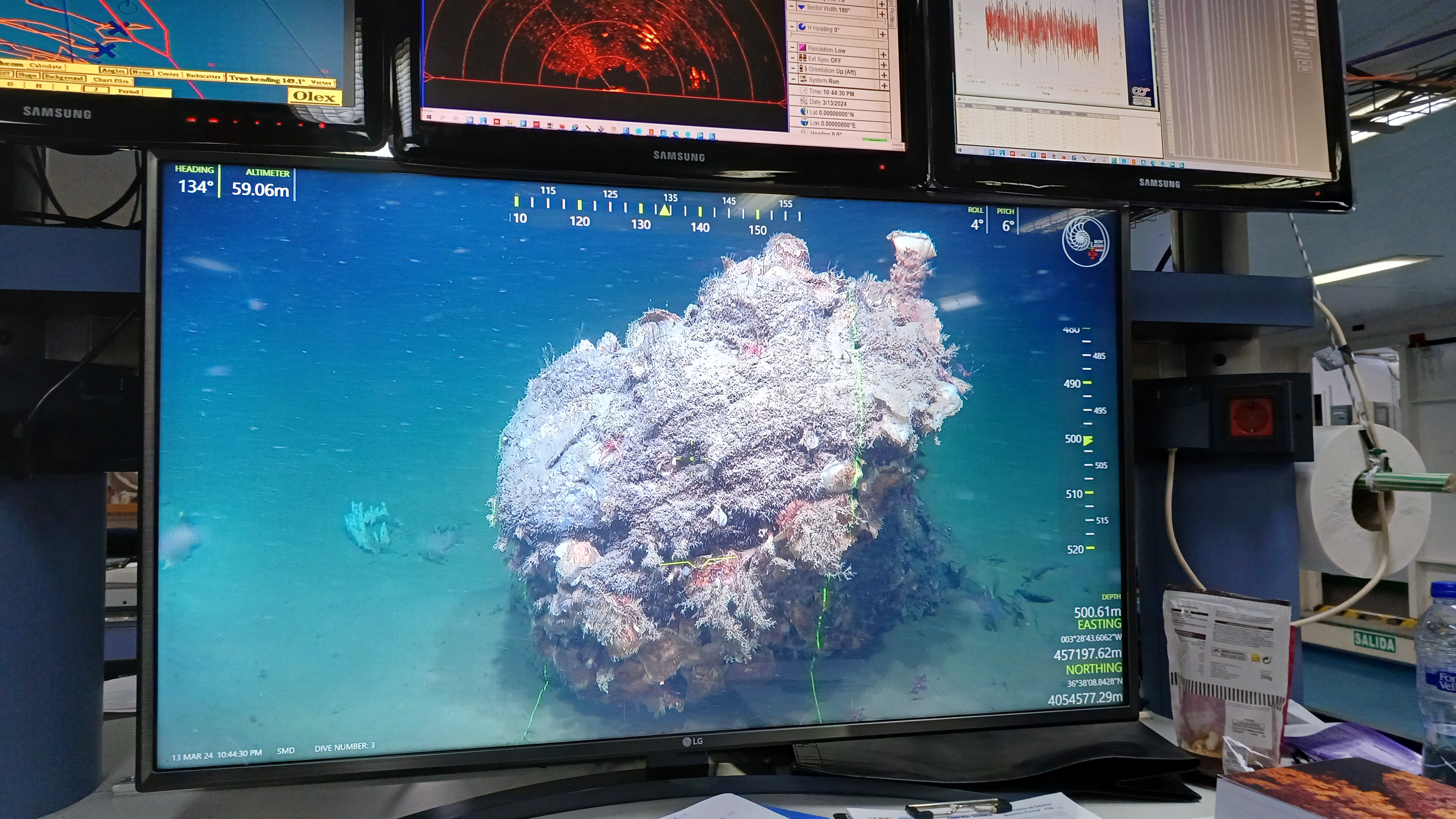 Arrecife de ostras 2. Imagen obtenida con el ROV "Luso" de uno de los arrecifes de ostras que constituyen un nuevo hábitat en el margen norte del mar de Alborán. Vista en pantallas instaladas en laboratorio