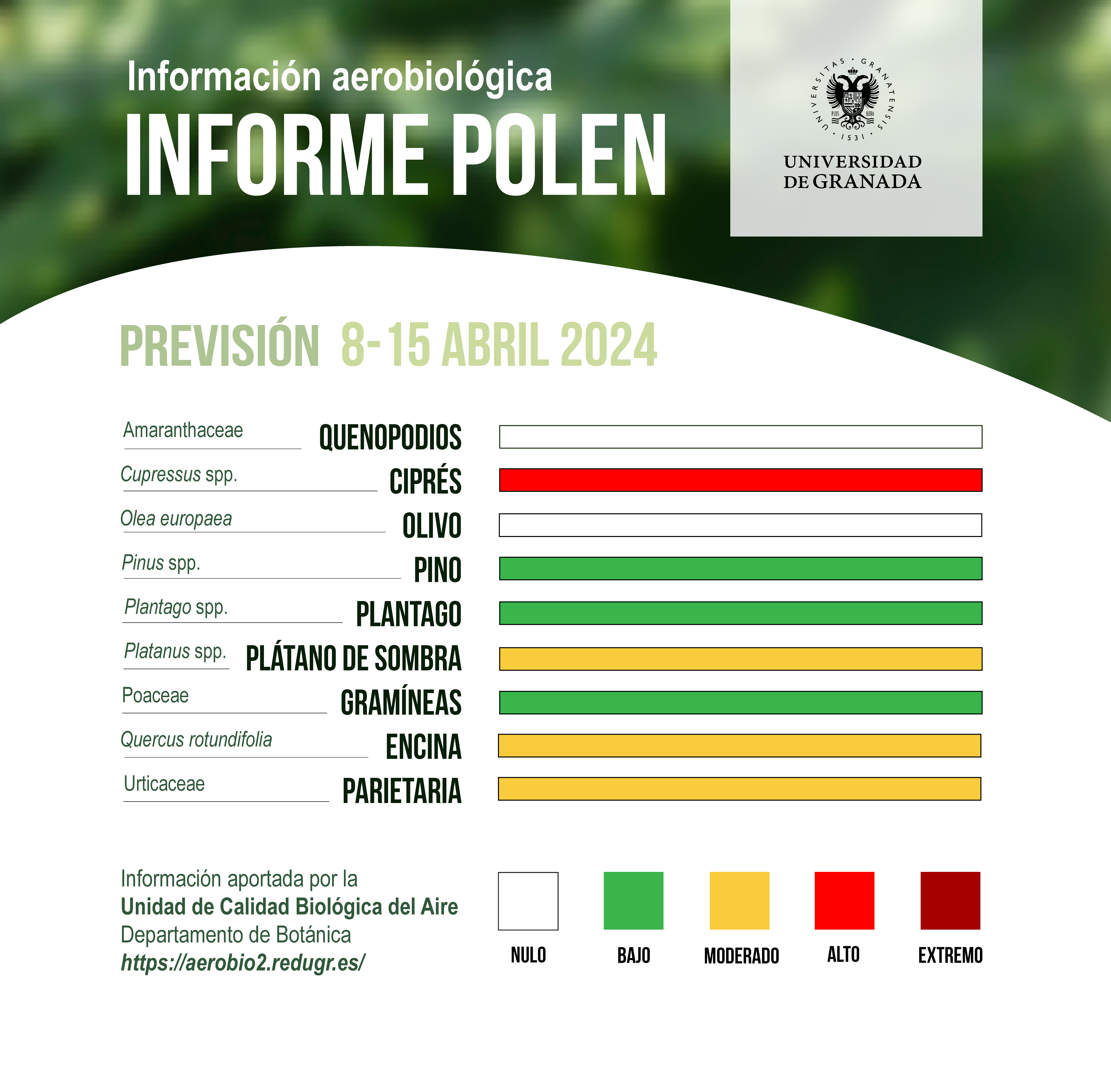 Descenso significativo de los niveles de polen en la ciudad de Granada