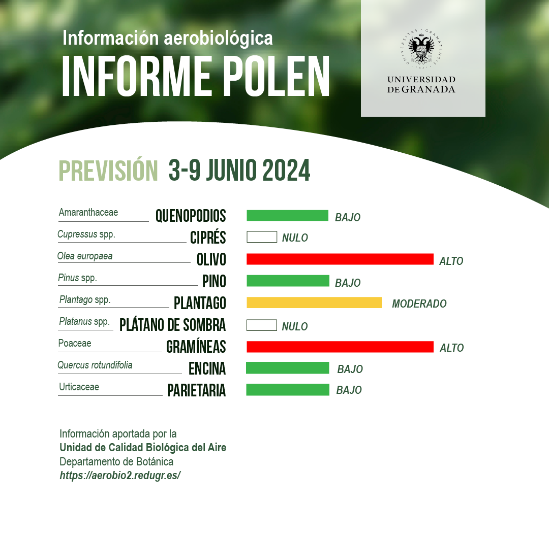 Informe polen 3-9 de junio: descenso moderado de niveles de polen de olivo y gramíneas