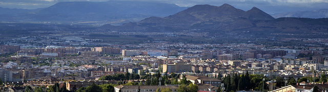 Regional Development Institute (IDR)