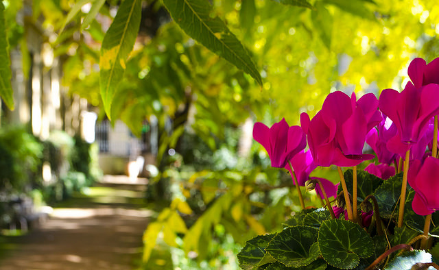 The Botanical Garden of the University of Granada