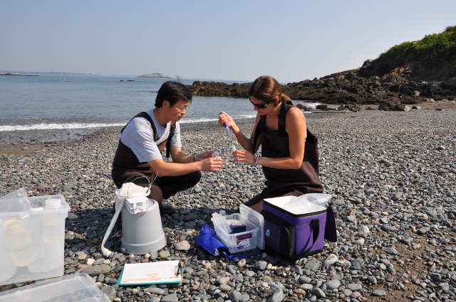 A man and woman kneeling down on a stony beach collecting water samples with syringes.
