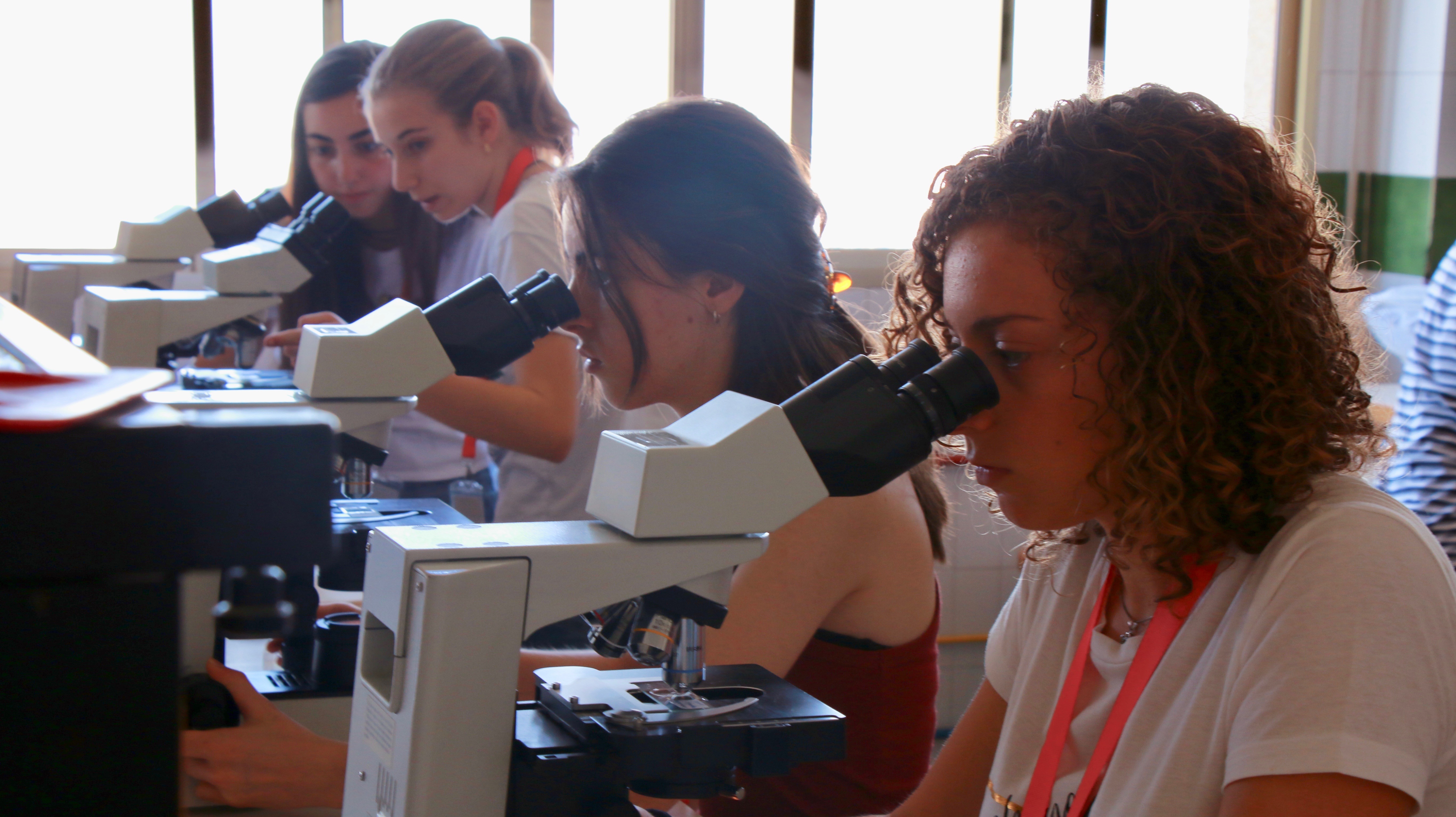 Researchers looking through microscopes