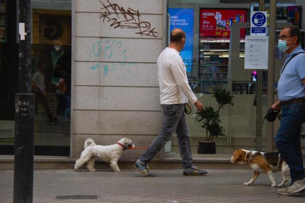 People walking their dogs on the street