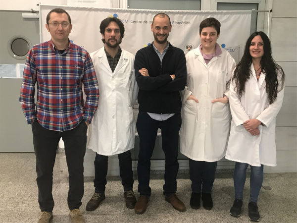 Five UGR researchers involved in the study posing for a photo