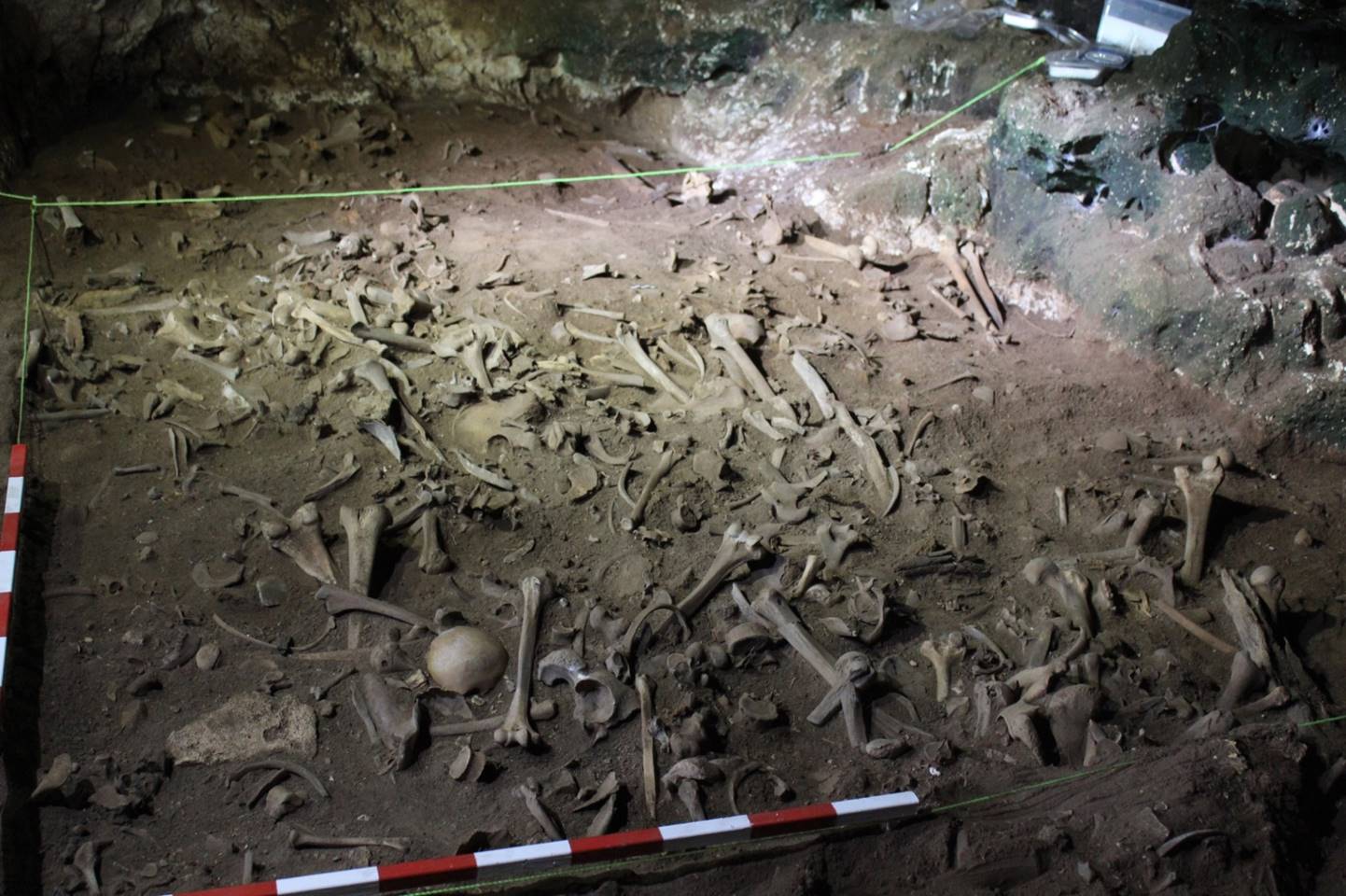 Remains discovered in Biniadris Cave (Menorca)
