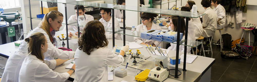 several researchers in a lab