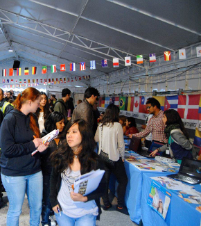 Dozens of students in a marquee decorated with flags from all over the world.