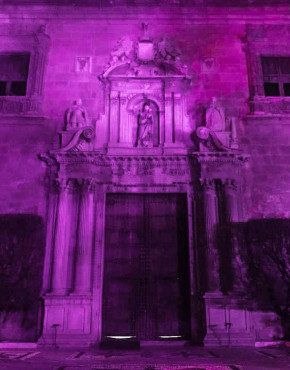 El Hospital Real se ilumina de violeta el #25N, Día Internacional por la Eliminación de las Vio...
