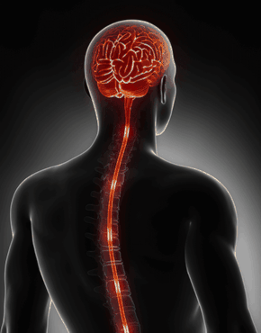 Experto en “Neuromodulación Cerebral, Medular y Nervios periféricos”
