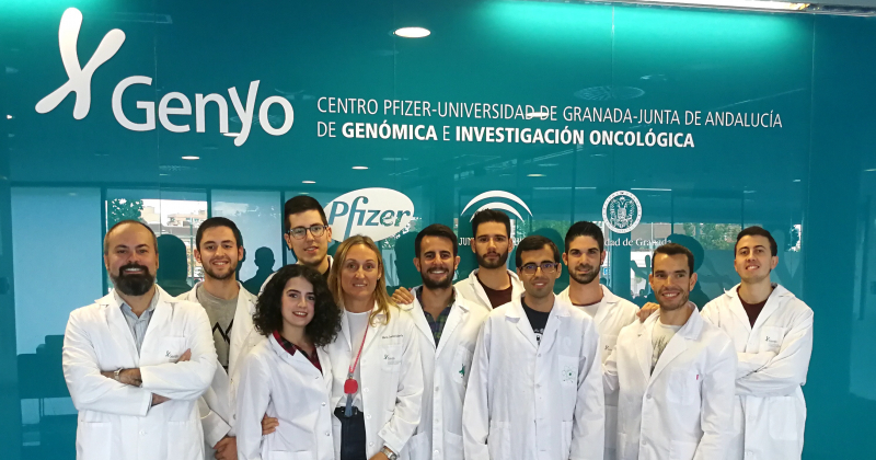 Investigadores de la Universidad de Granada desvelan el papel fundamental de una proteína, cuya ...