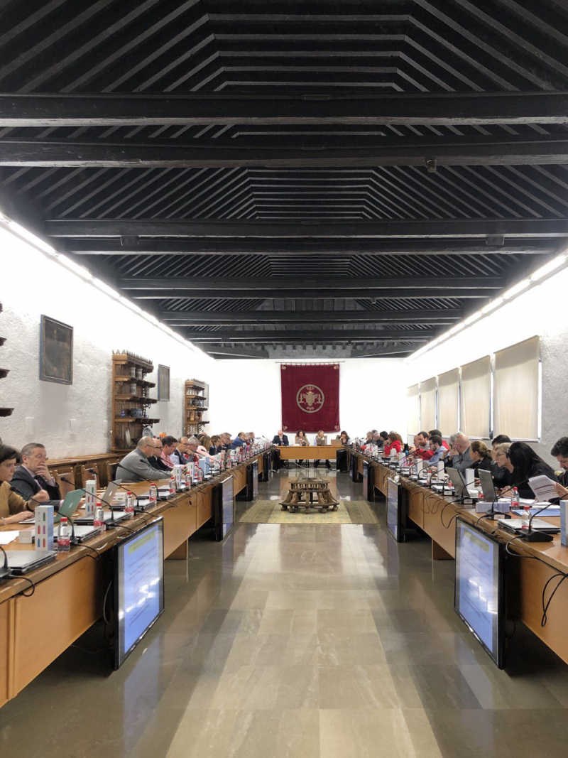 Sesión ordinaria del Consejo de Gobierno de la Universidad de Granada - 28/01/2020
