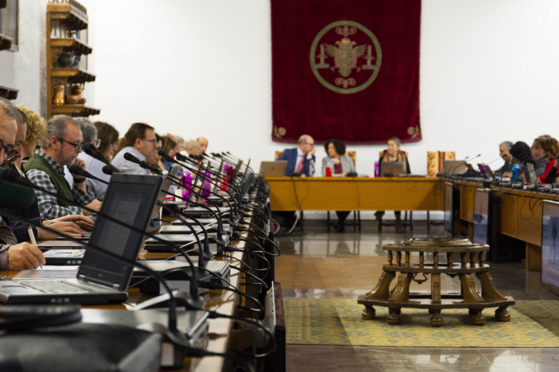 Sesión ordinaria del Consejo de Gobierno de la Universidad de Granada