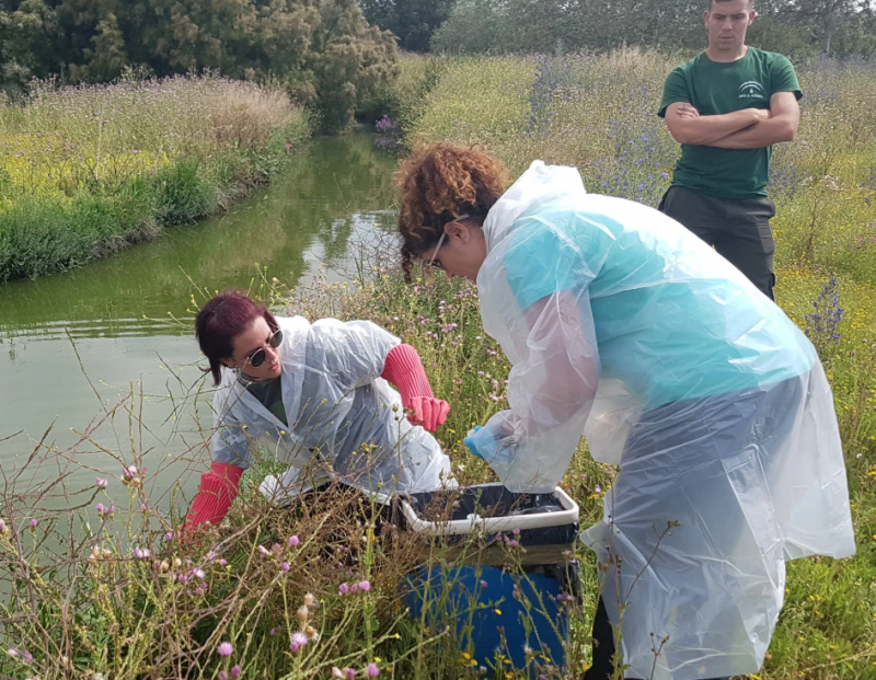 Dos investigadoras de la UGR tomando muestras de agua en la orilla de un río