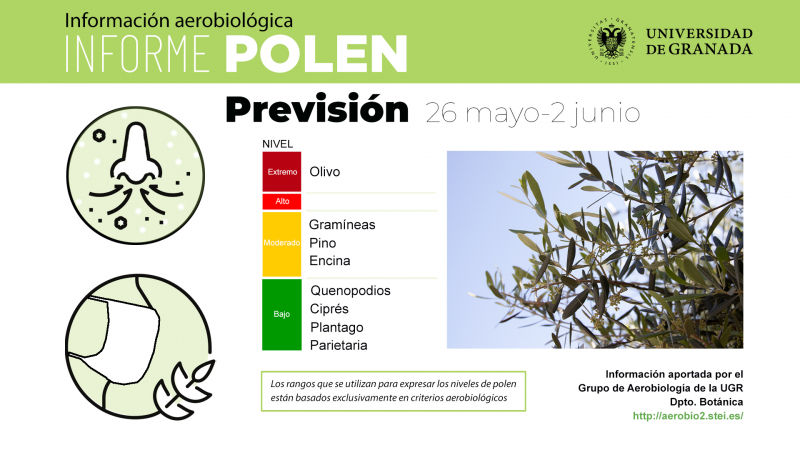 informe previsión polen 26 mayo - 2 junio