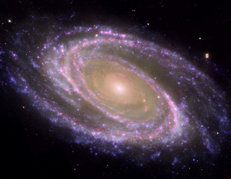 Ejemplo de galaxia espiral cercana, M81, donde se identifica fácilmente el bulbo, la parte central más rojiza, y el disco, plagado de zonas donde se forman estrellas actualmente y aparecen como regiones azules formando brazos espirales. Créditos: NASA/JPL-Caltech/ESA/Harvard-Smithsonian CfA.