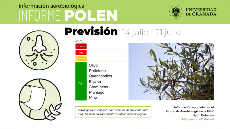 Infografía del informe polen 14-21 de julio