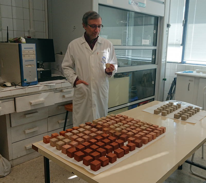 El investigador de la UGR Giuseppe Cultrone en su laboratorio de la Facultad de Ciencias, junto a los ladrillos que ha fabricado con ceniza volcánica.