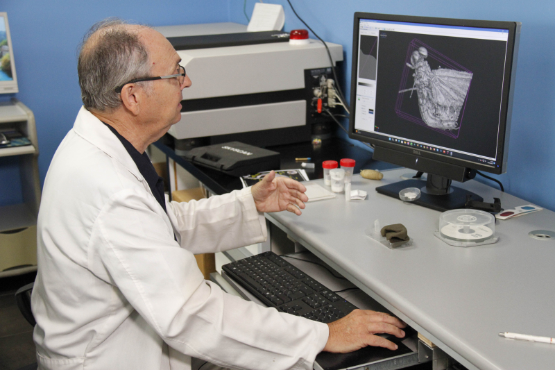 Javier Alba-Tercedor muestra la imagen microtomografica en su ordenador