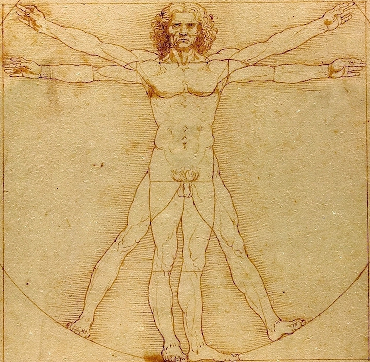 Hombre de vitrubio de Leonardo Da Vinci