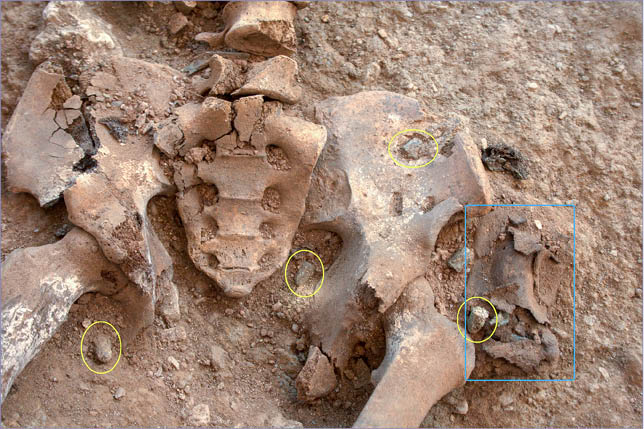 C:\Users\Rafa\Desktop\Fosa Gualchos (Dani)\Cementerio Gualchos 13-08-12 029 (editada).jpg