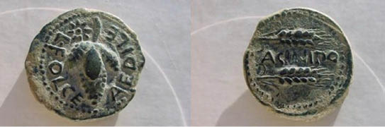 C:\Users\usuario\Desktop\monedas acinipo.jpg