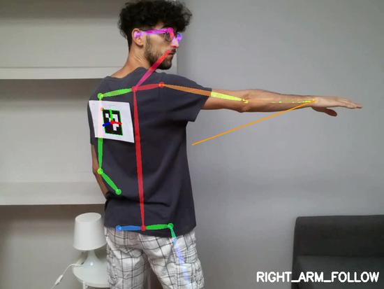 Drone control based on vision and gestural programming