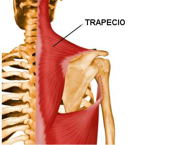 Trapecio