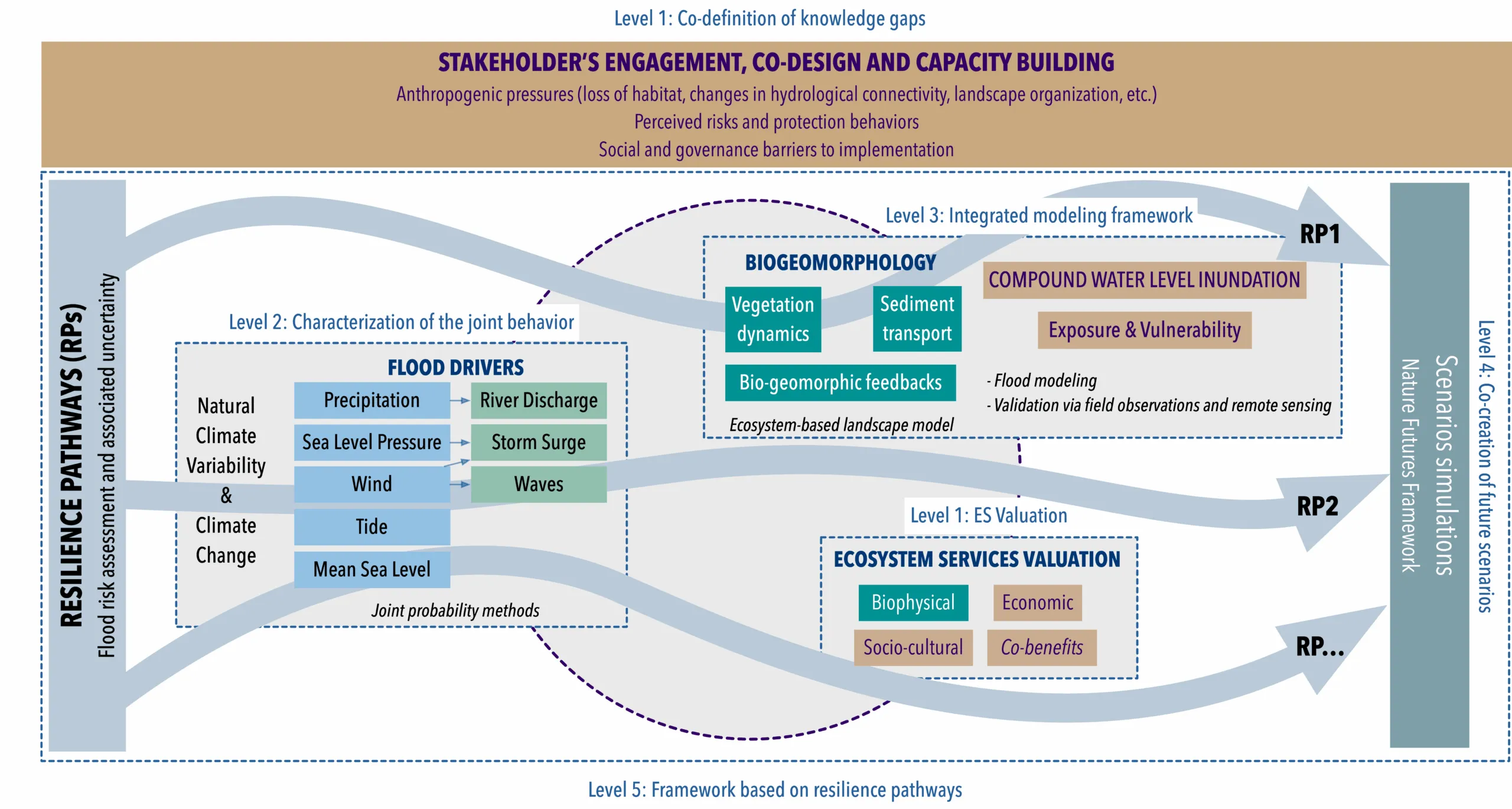 Diagram of the EcoC2S conceptual framework: stakeholder engagement, flood drivers, integrated biogeomorphological modelling, ecosystem services valuation, future scenarios and resilience pathways