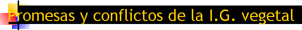 Promesas y conflictos de la I.G. vegetal