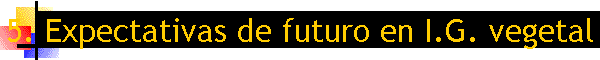 5. Expectativas de futuro en I.G. vegetal
