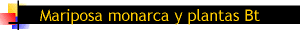 Mariposa monarca y plantas Bt