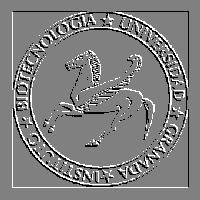 logo Instituto Biotecnología