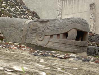 Cabeza de serpiente. Museo del Templo Mayor. México D.F.