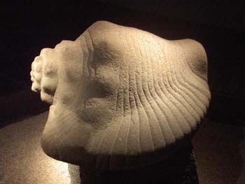 Spondylus. Museo del Templo Mayor. México D.F.