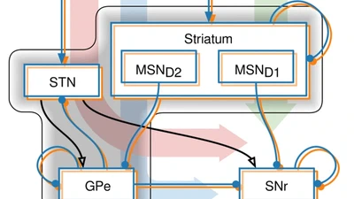 INTSENSO - Integración sensorimotora para control adaptativo mediante aprendizaje en cerebelo y centros nerviosos relacionados. Aplicación en robótica featured image