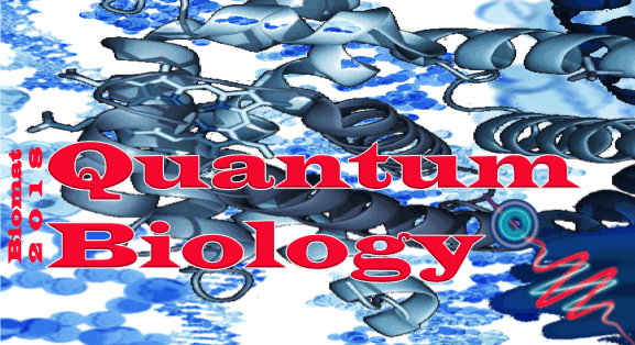 BIOMAT 2018 Quantum Biology