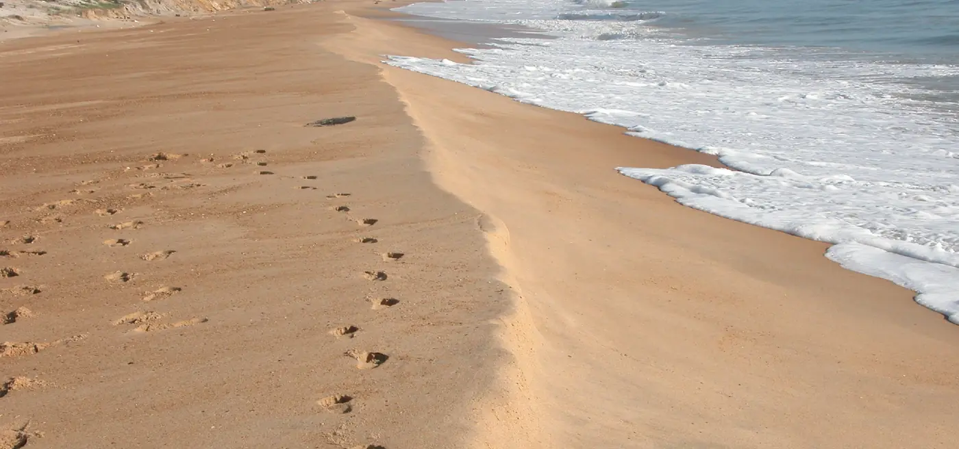Nicely formed berm on a sandy beach (Huelva, Spain)