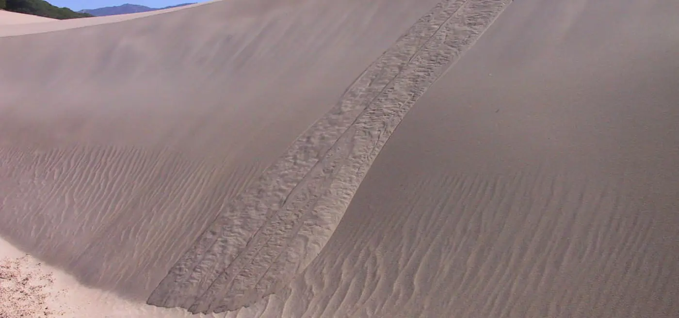 Highly dynamic sand dune (Cádiz, Spain)