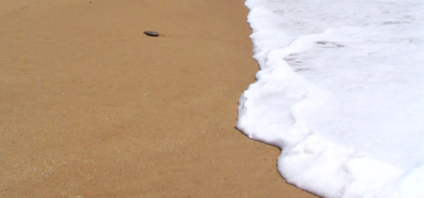 Foam in the swash zone (Cádiz, Spain). Courtesy of Sandra Fachin