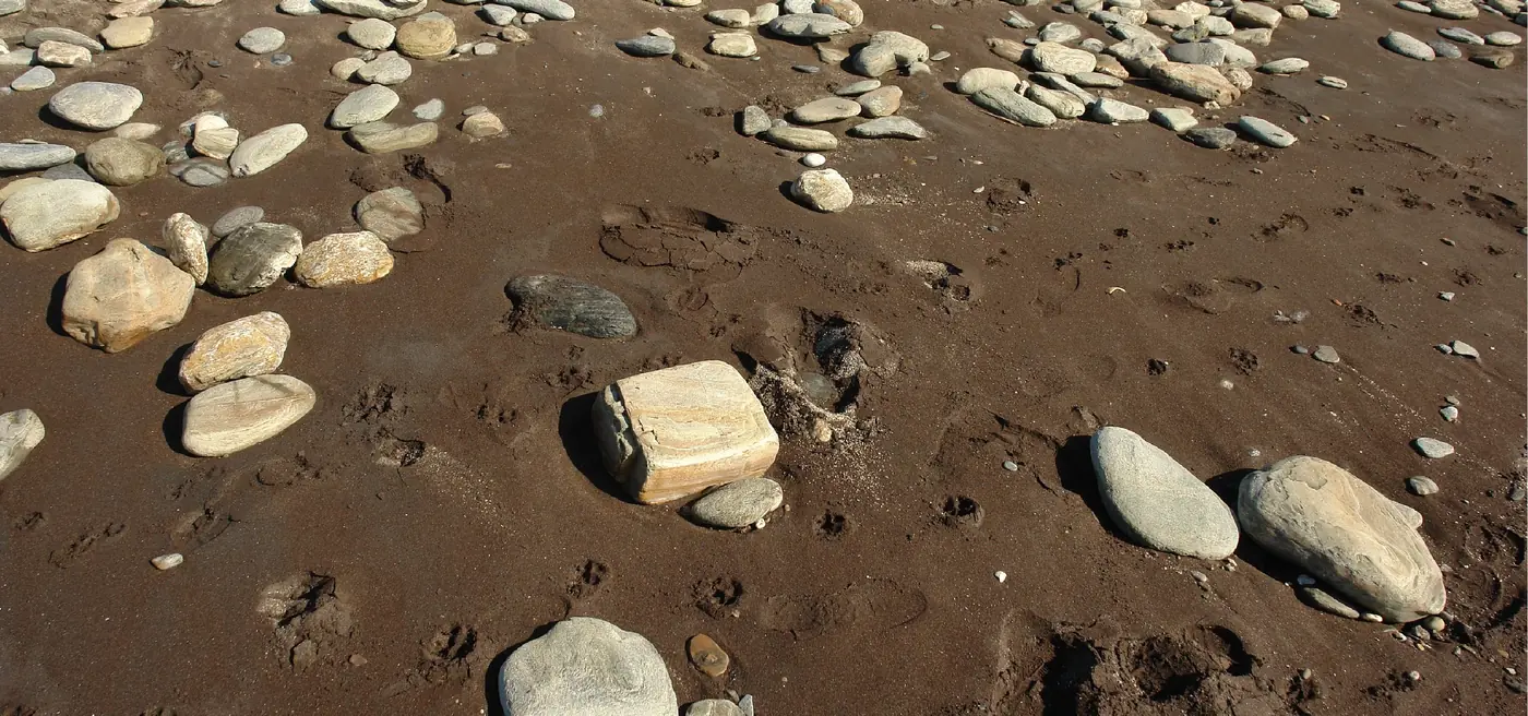Cobbles on a mixed sand and gravel beach (Granada, Spain)