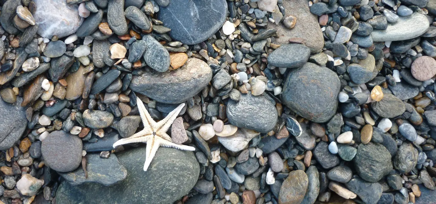 Mixed sediments on a beach (Granada, Spain)