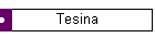 Tesina